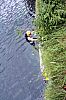 IMG_9875.JPG